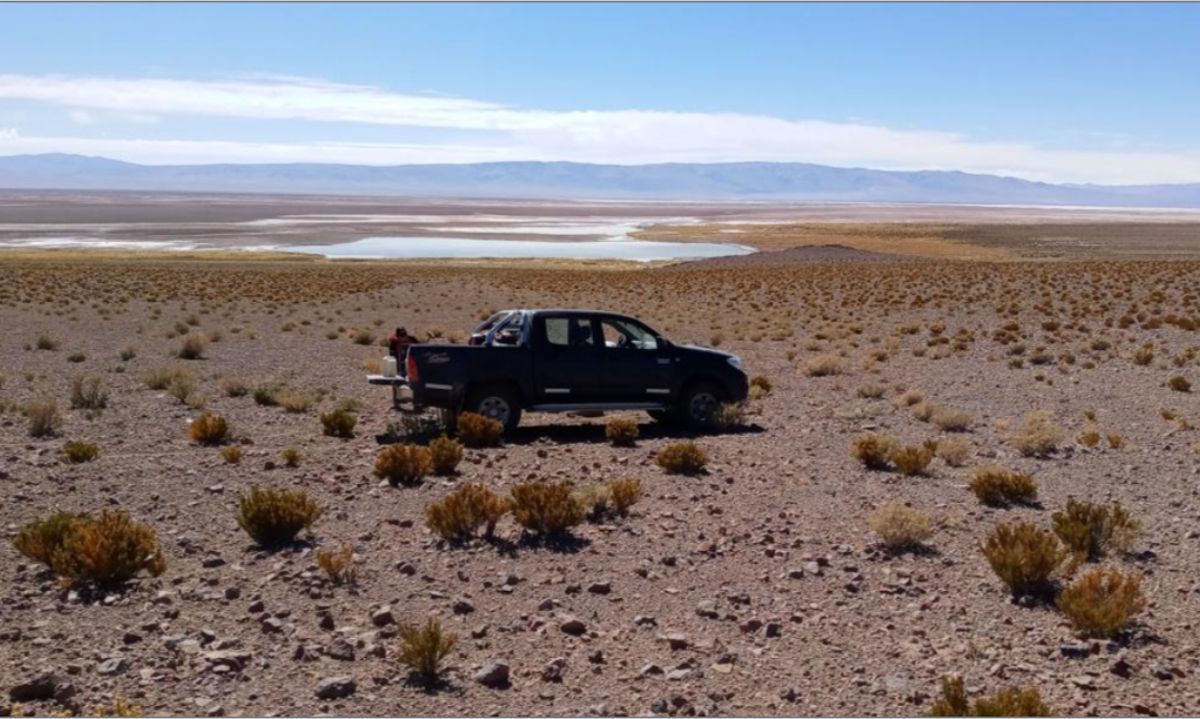 Argentina Lithium amplía extensión de acuíferos de salmuera en Salta