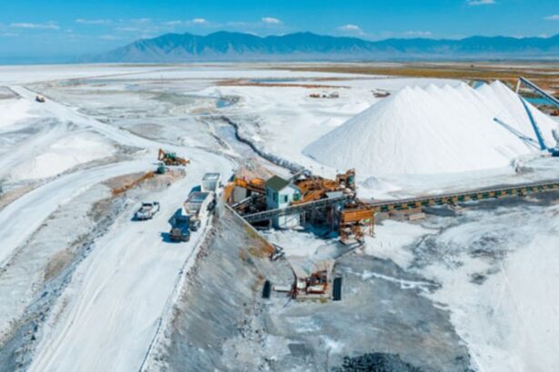 SQM y Albemarle suben participación de mercado en litio y más países compiten como productores del mineral