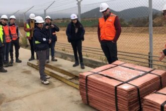 Visita técnica verifica cumplimiento ambiental y desarrollo sostenible en proyecto minero.