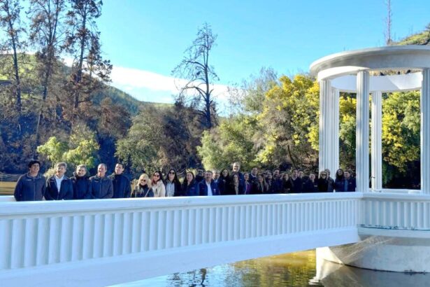 El Jardín Botánico de Viña del Mar renace tras devastador incendio.