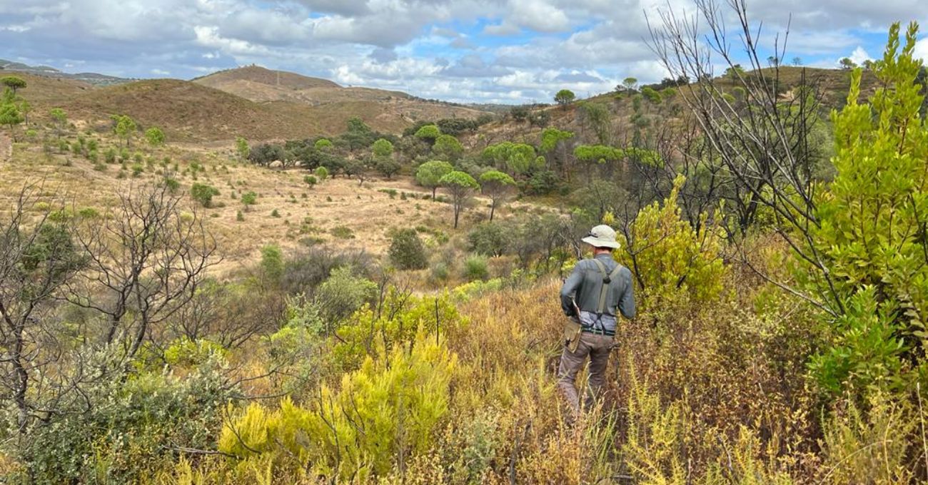 España: Emerita Resources descubre nuevos yacimientos de Gossan ricos en oro y plata en su proyecto Nuevo Tintillo