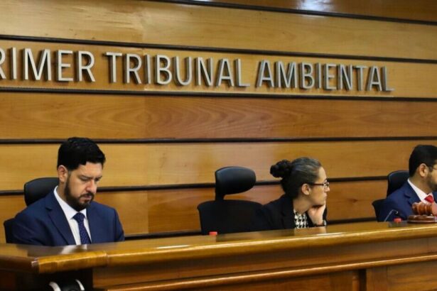 Minera Bullmine impugna declaración de área protegida en Huara por supuesta ilegalidad del decreto.