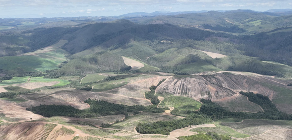 Acuerdo suministro tierras raras: Meteoric y Ucore unen fuerzas en Brasil