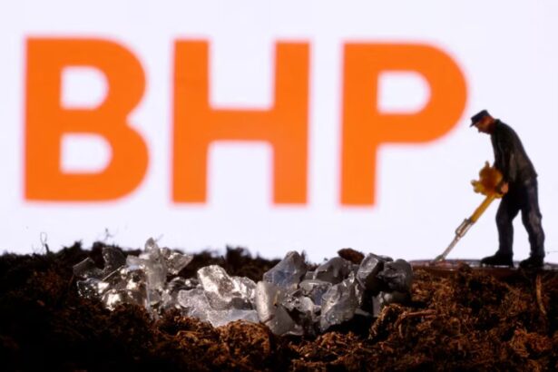 Regreso de BHP a Argentina marca nueva esperanza para minas de cobre sin explotar