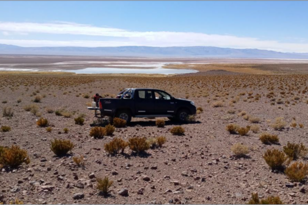 Argentina Lithium Reports: Estudio geofísico agrega casi 600 hectáreas de acuífero de salmuera potencial en el proyecto Rincon West y planea perforaciones adicionales