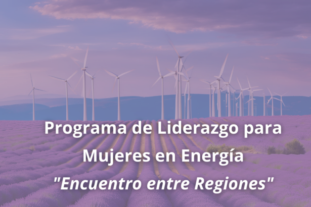 Finaliza exitoso programa piloto de mujeres líderes en la transición energética