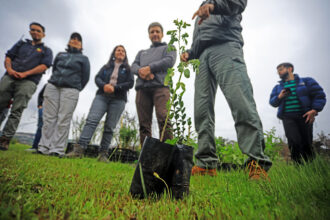 Desafío Levantemos Chile y más de 60 colaboradores de empresas del Consejo Minero reforestaron parte del Jardín Botánico de Viña del Mar