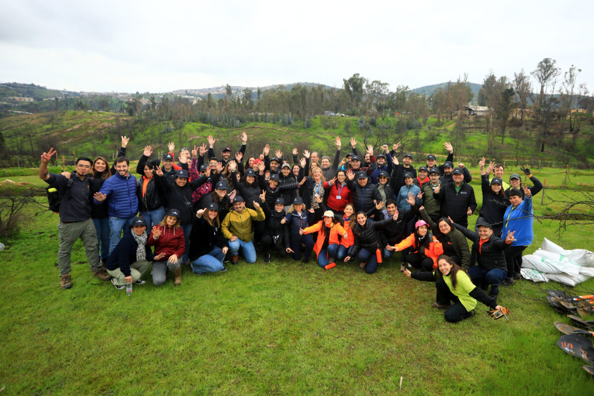 Desafío Levantemos Chile y más de 60 colaboradores de empresas del Consejo Minero reforestaron parte del Jardín Botánico de Viña del Mar