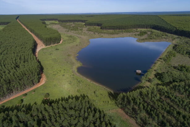 Valmet suministrará una planta de celulosa completa con soluciones de automatización y control de flujo a Arauco en Brasil