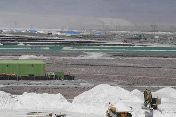 Codelco pide registrar marcas ligadas a su nuevo negocio: desde Li Corp a Litio Norte Grande y Andes Lithium