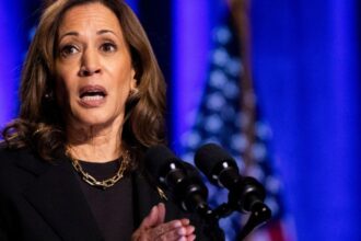 Kamala Harris promete reserva nacional de minerales: reducción dependencia China