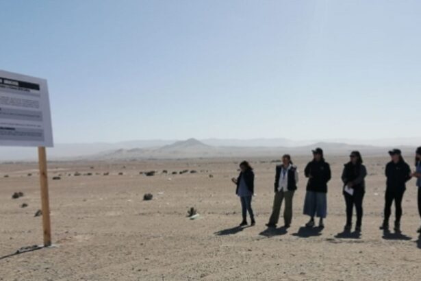 Evaluadores de Atacama realizan visita técnica por proyecto energético en Caldera