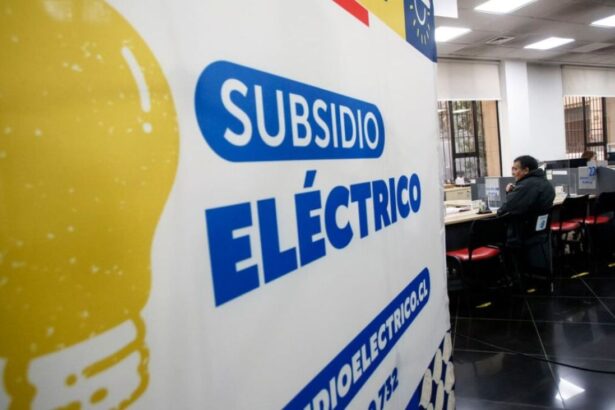 Subsidio Eléctrico: ¿Cuáles son los requisitos para realizar la segunda postulación?