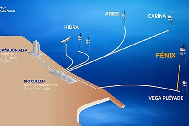 Al sur de Argentina nace un nuevo polo gasífero: Entra en operación el campo Fénix