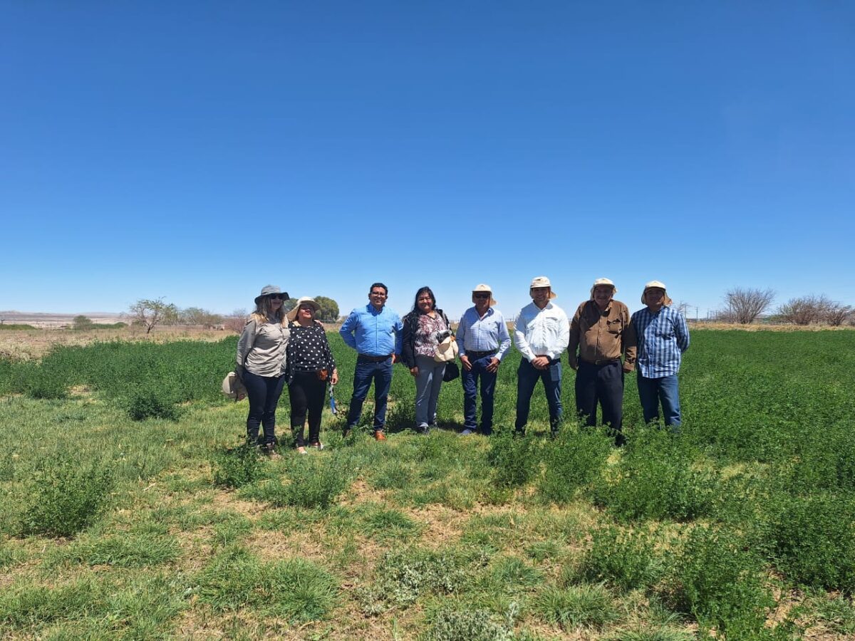 Lomas Bayas y ASAC inauguran modernas instalaciones para impulsar la agricultura en Calama