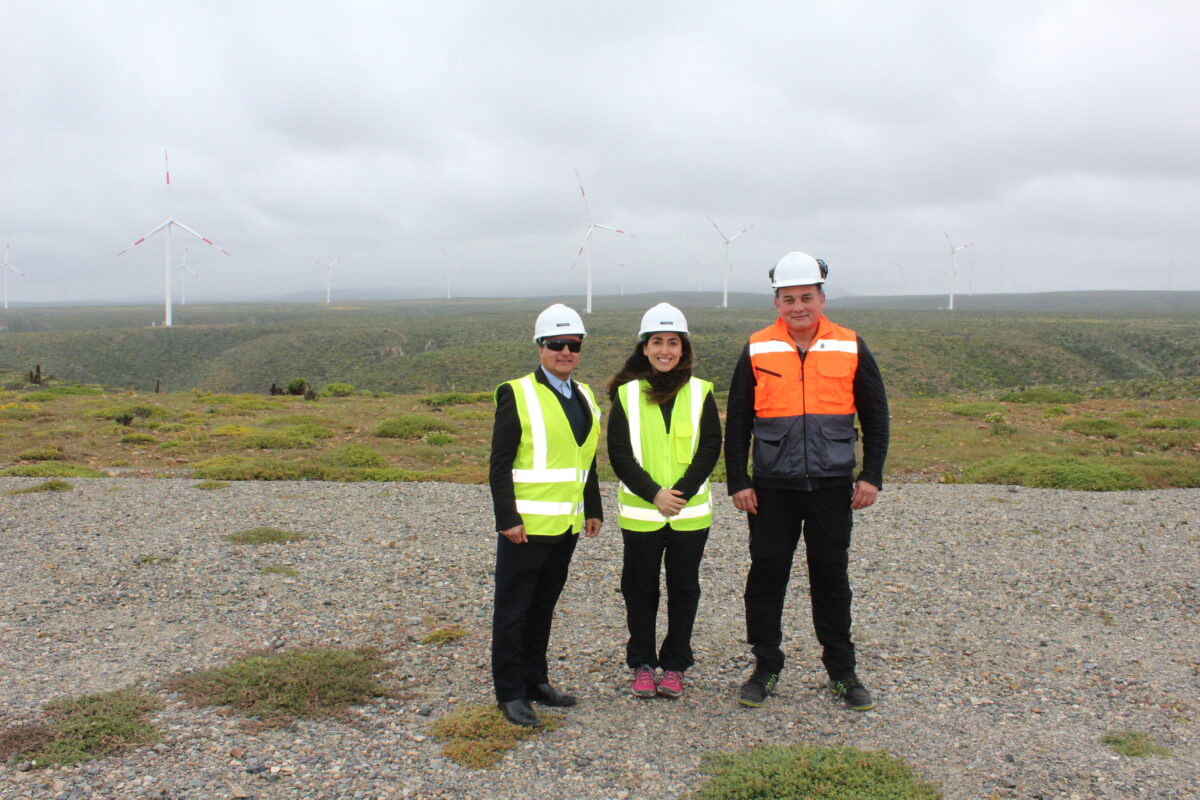 Seremi de Energía constata avances en proyecto de almacenamiento del parque eólico Punta Sierra