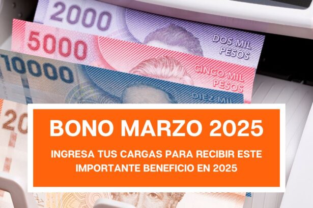 Actualiza ya tus cargas familiares para recibir Bono Marzo 2025