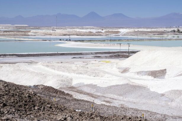 Ministros del Tribunal Ambiental recorrieron Salar de Surire por un posible daño ambiental