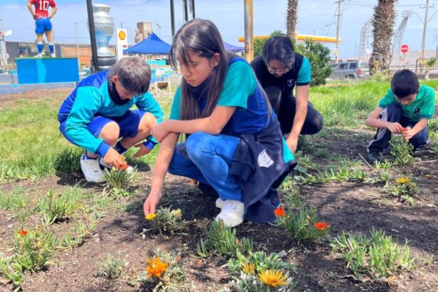 Tocopilla renueva sus espacios verdes con Fondo Ambiental de Minera El Abra