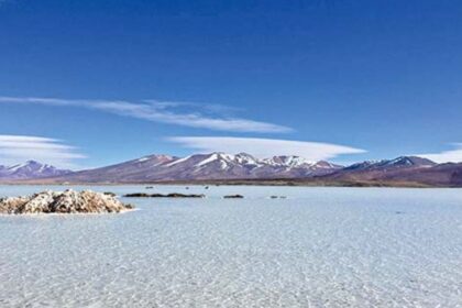 Los intereses de Tsingshan, Lithium Chile y Wealth Minerals por explotar los salares prioritarios