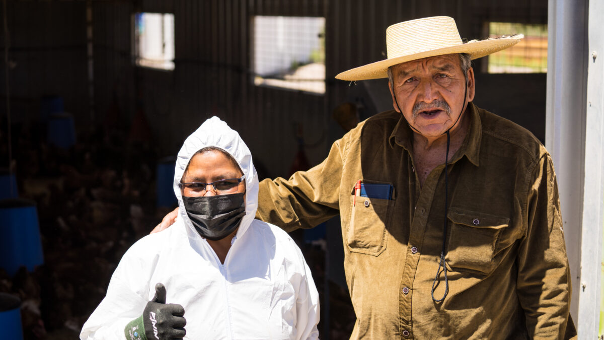 Lomas Bayas y ASAC inauguran modernas instalaciones para impulsar la agricultura en Calama