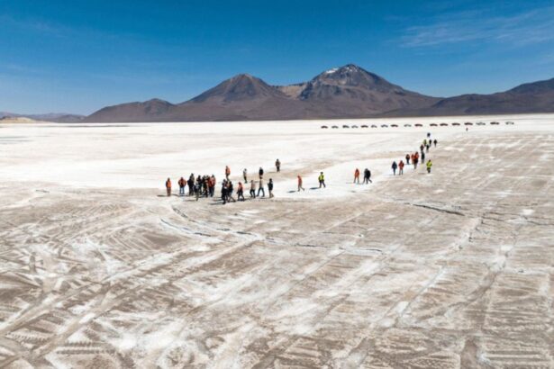 Diligencia judicial en Salar de Surire: relevante inspección ambiental