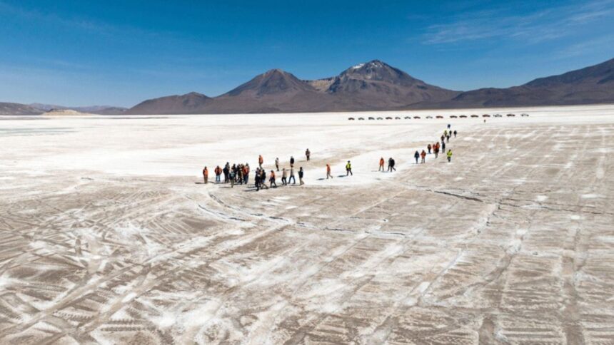 Diligencia judicial en Salar de Surire: relevante inspección ambiental