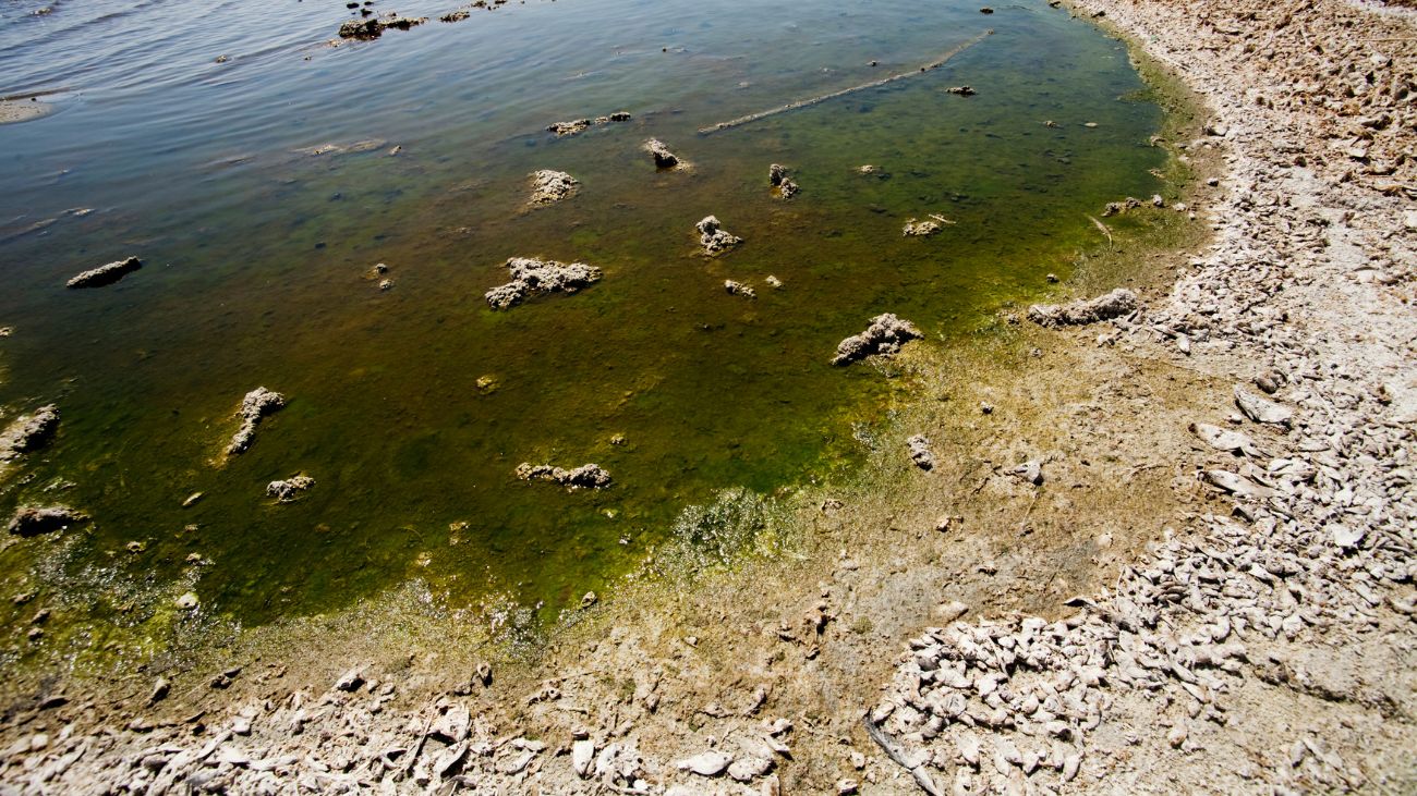 Desarrollo sostenible en minería: avances en tratamiento de aguas ácidas