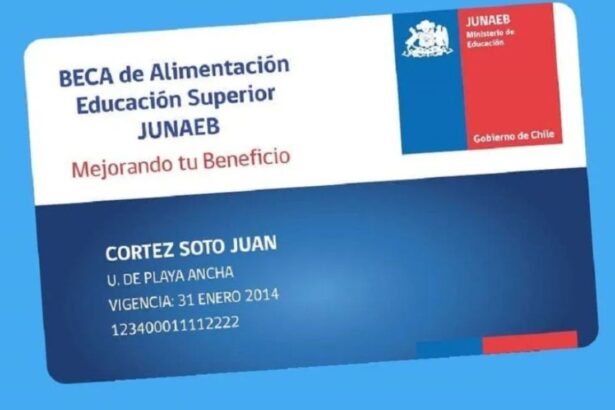 Tarjeta Junaeb: Conoce cuándo aumenta la BAES y cuál será su nuevo monto