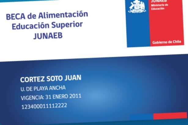 Anuncian alza de la BAES: Conoce el nuevo monto que tendría la "Tarjeta Junaeb"