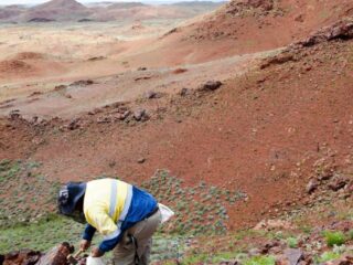 Australia: Infinity Mining amplía su cartera de exploración en Nueva Gales del Sur.