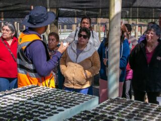 El Teniente y Junta de Vigilancia del Río Cachapoal impulsan educación ambiental en Vivero de Hacienda Cauquenes