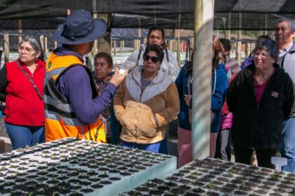 El Teniente y Junta de Vigilancia del Río Cachapoal impulsan educación ambiental en Vivero de Hacienda Cauquenes