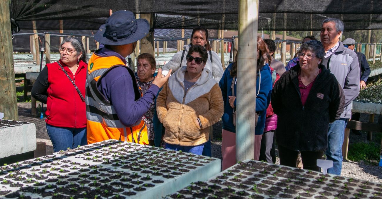 El Teniente y Junta de Vigilancia del Río Cachapoal impulsan educación ambiental en Vivero de Hacienda Cauquenes