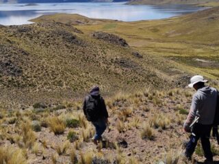 Perú: Palamina Inicia Programa de Muestreo de Suelos Luego de Completar Estudio de Teledetección en el Proyecto de Cobre Galena Silver