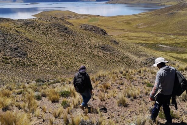 Perú: Palamina Inicia Programa de Muestreo de Suelos Luego de Completar Estudio de Teledetección en el Proyecto de Cobre Galena Silver