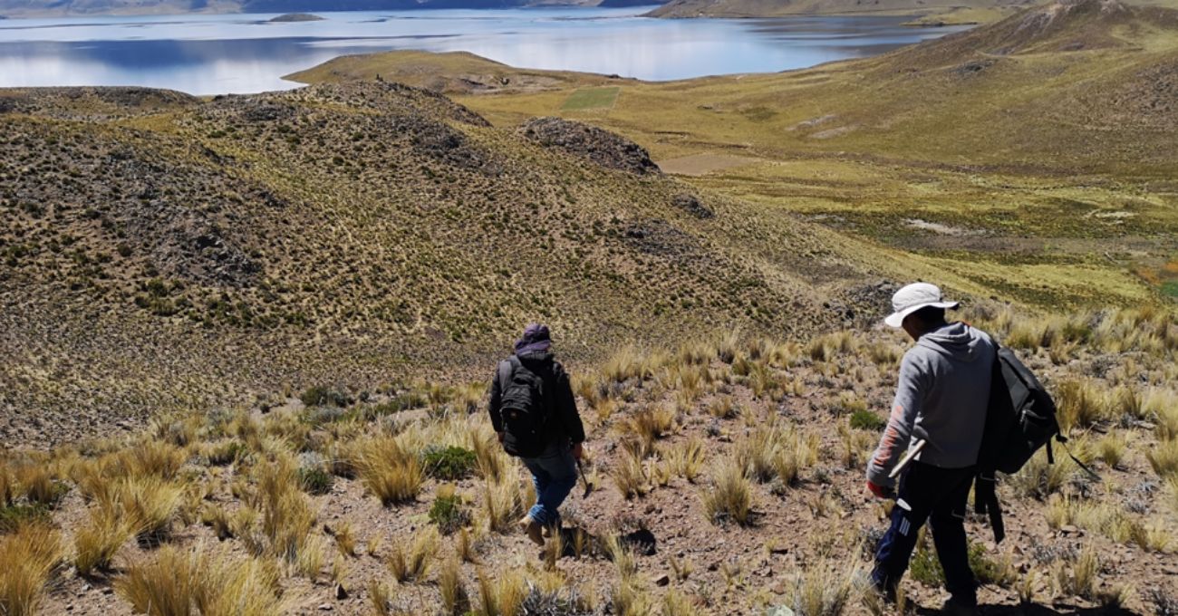 Perú: Palamina Inicia Programa de Muestreo de Suelos Luego de Completar Estudio de Teledetección en el Proyecto de Cobre Galena Silver