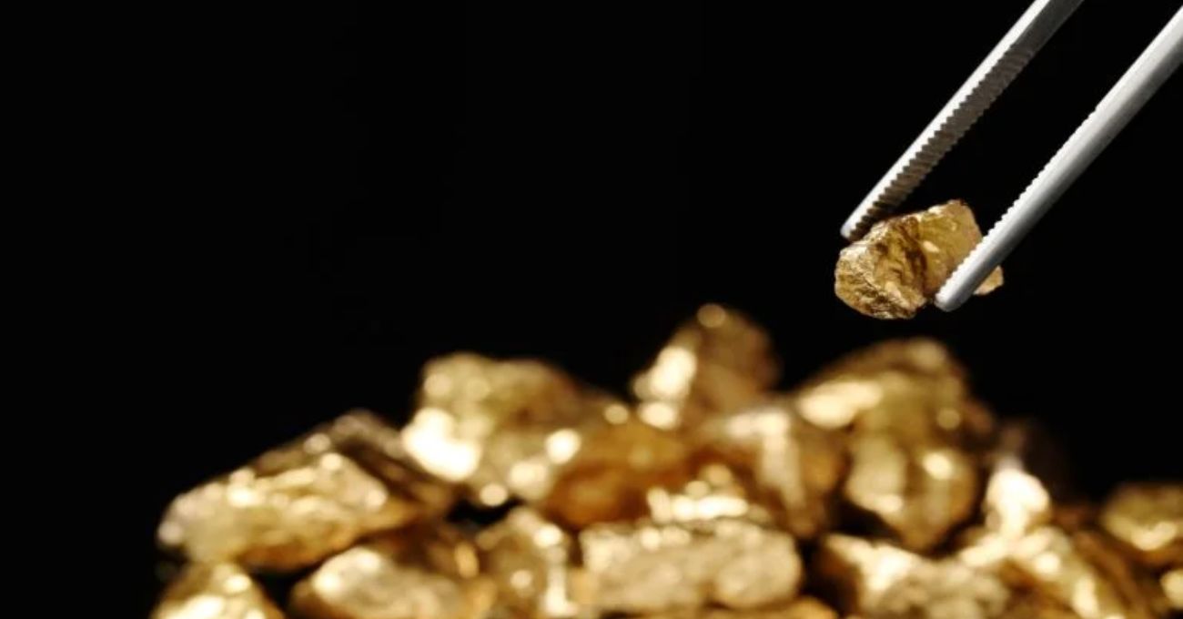 Native Mineral Resources (NMR) adquiere proyectos auríferos: nuevo potencial de producción de oro.