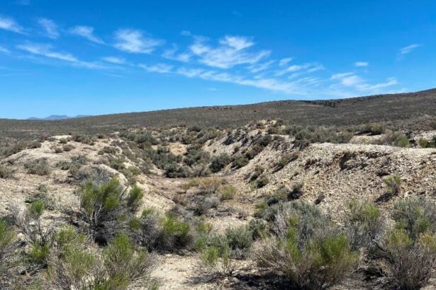 GMV Minerals intersecta dos horizontes de arcillolita de litio en el proyecto Daisy Creek en el condado de Lander, Nevada