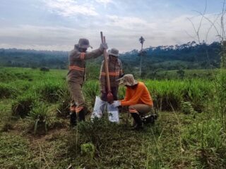 Brasil: GoldMining Reporta Resultados Adicionales de Perforación de Alta Ley e Identifica Múltiples Objetivos de Perforación, Proyecto São Jorge