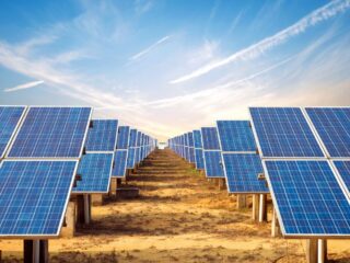 Un desierto repleto de paneles solares parecía ser una buena idea: el impacto es desalentador