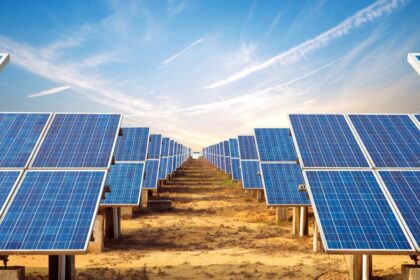 Un desierto repleto de paneles solares parecía ser una buena idea: el impacto es desalentador