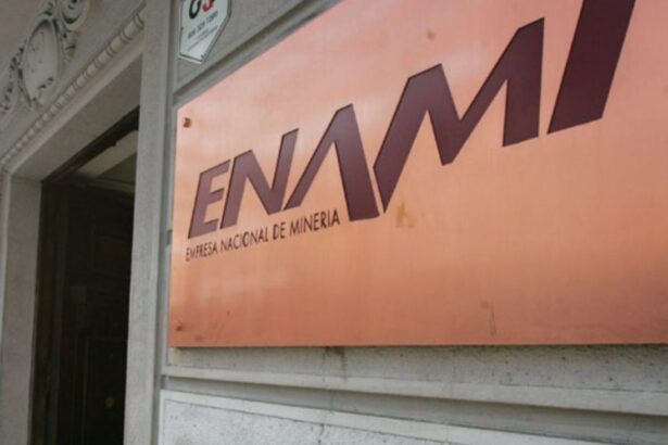 Enami presenta Plan Estratégico para el crecimiento de la minería