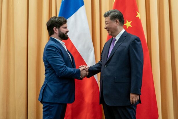 Xi Jinping se reúne con Boric y le pide ampliar la cooperación China-Chile en varios ámbitos