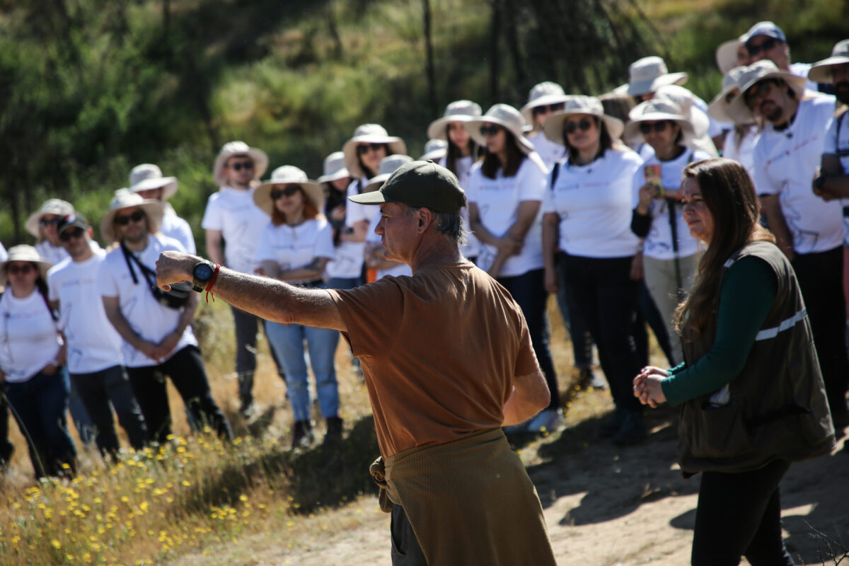 Desafío Levantemos Chile, BHP y el Consejo Minero impulsan reforestación del Jardín Botánico de Viña del Mar