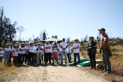 Desafío Levantemos Chile, BHP y el Consejo Minero impulsan reforestación del Jardín Botánico de Viña del Mar