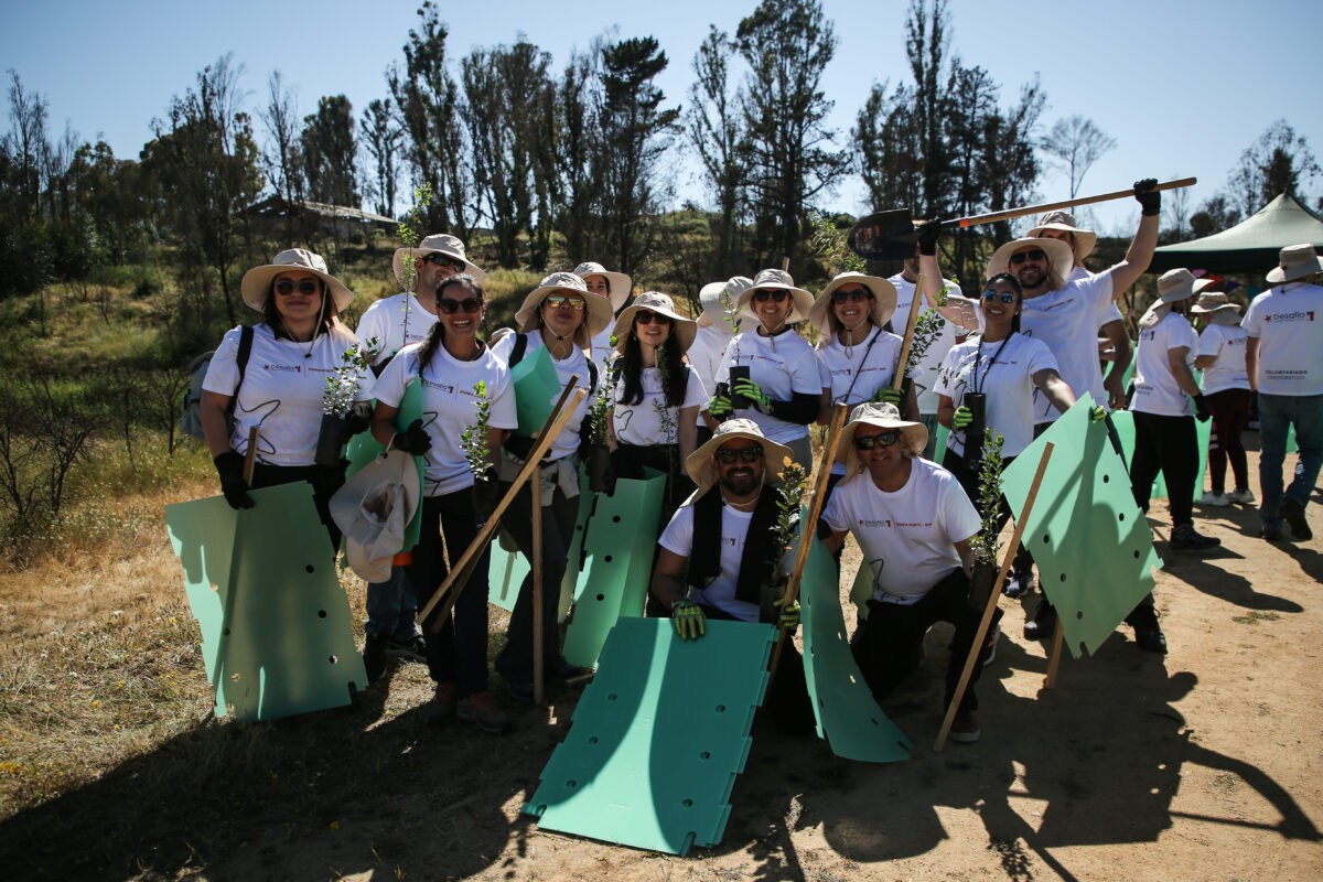 Desafío Levantemos Chile, BHP y el Consejo Minero impulsan reforestación del Jardín Botánico de Viña del Mar