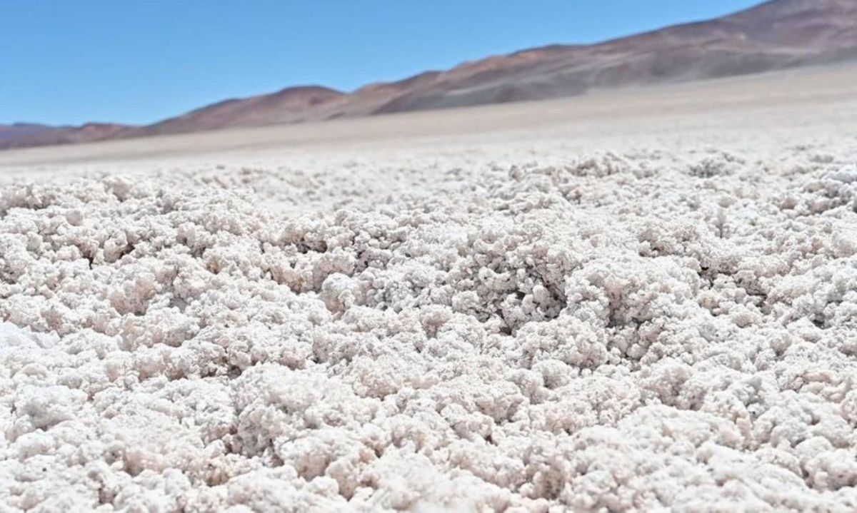 Abren proceso para asignar CEOLes en seis yacimientos de litio