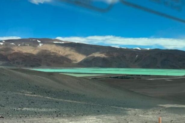 Venta de regalía de litio en Argentina: Lithium Royalty mejora posición financiera