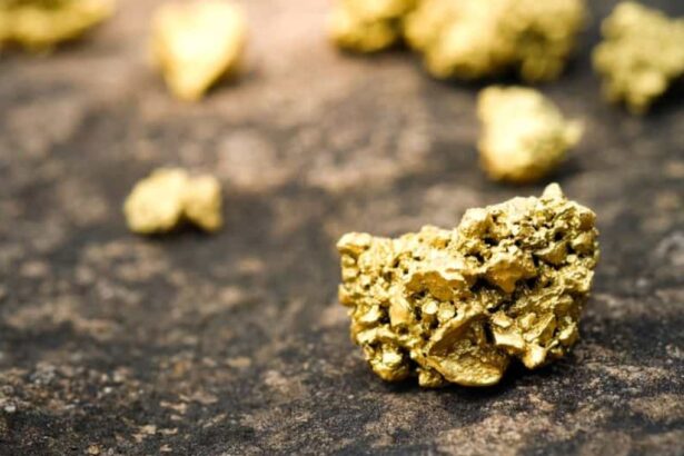 Montage Gold asegura US$75 millones de Zijin Mining para expansión aurífera